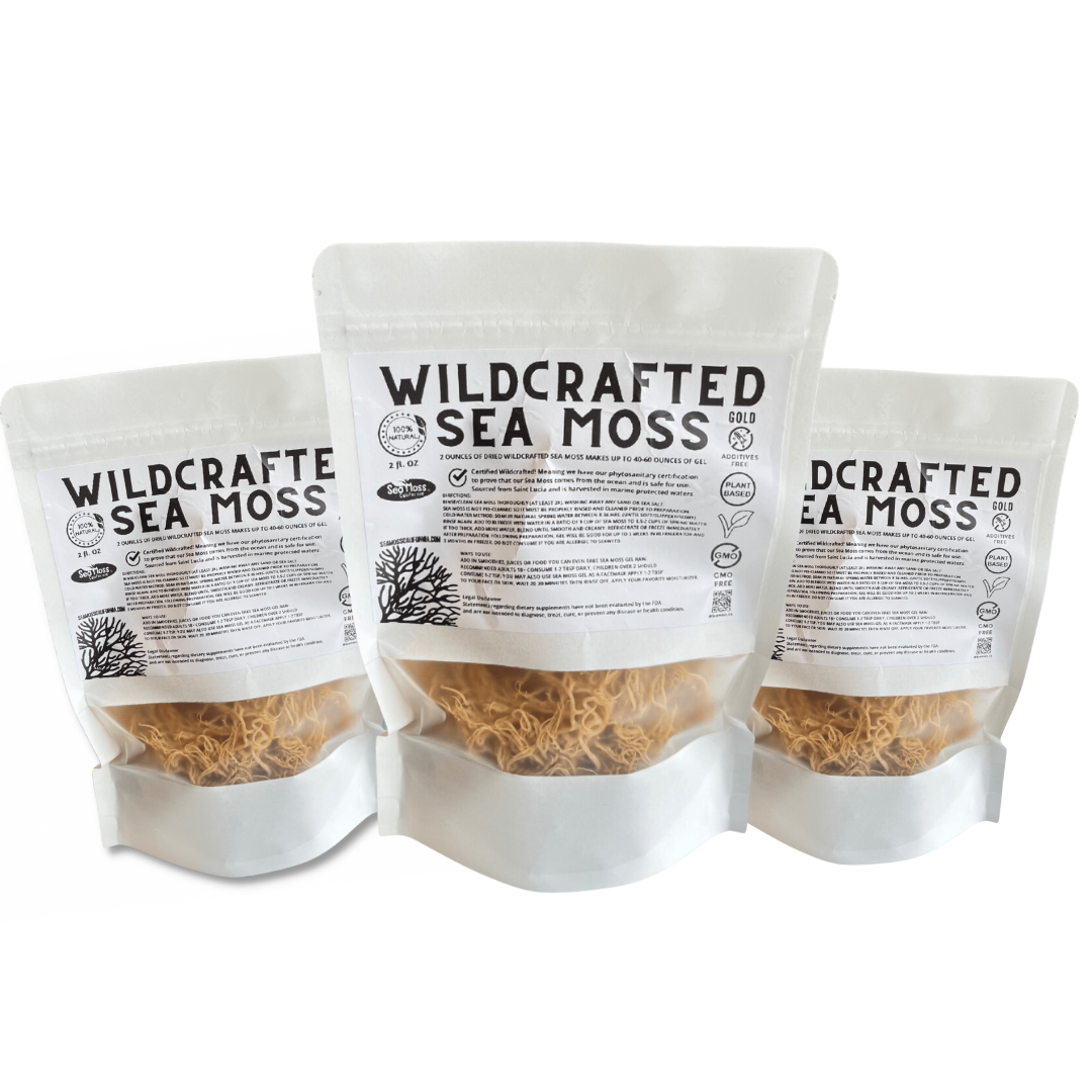 Raw Premium Organic Wildcrafted St. Lucia Sea Moss | Sea Moss